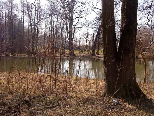 Świdnica - Bagieniec - Świdnica