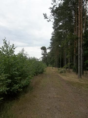 Z Lubina na Grzybową Górę