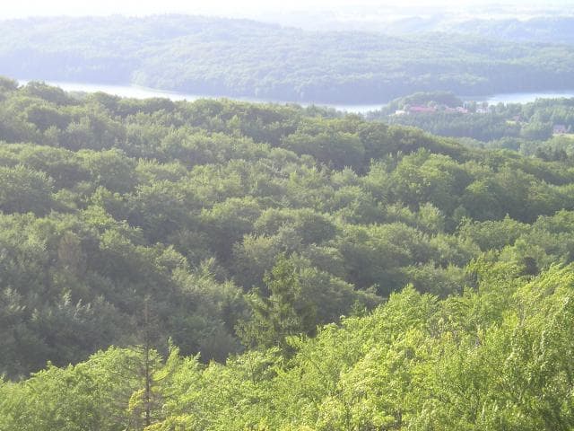 Stężyca - Szymbark (Wieżyca)