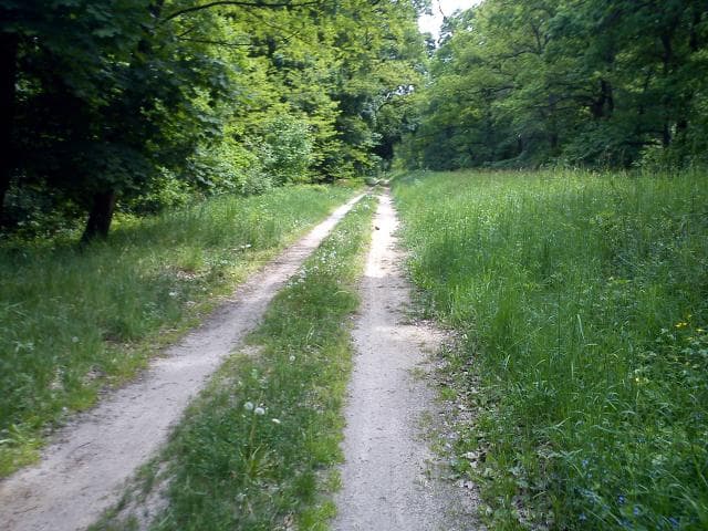 z Wyszanowa do Głogowa