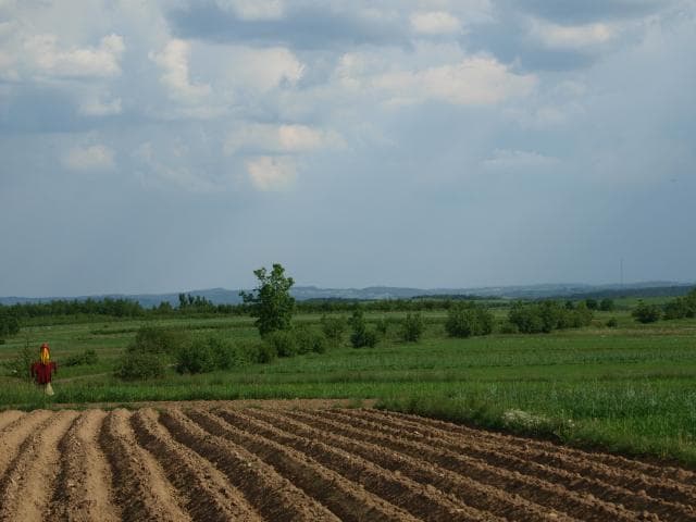 Rzeszów - Magdalenka - Husów