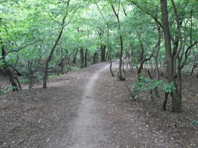 Hutnicza - Strzelnica - Stary Lubin - Hutnicza