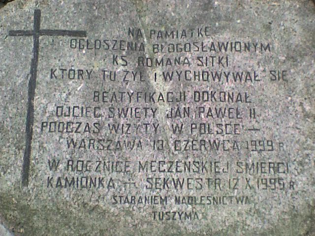 Sędziszów Młp. - Niwiska - Kolbuszowa