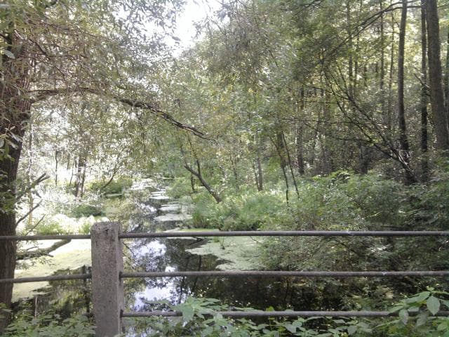 Giżycko - Kruklanki - Pozezdrze - Świdry - Giżycko