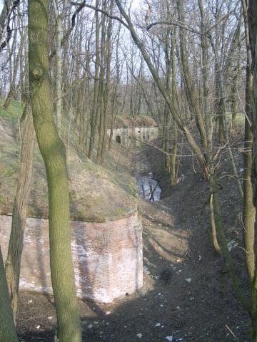 Kraków - Swoszowice - Rajsko