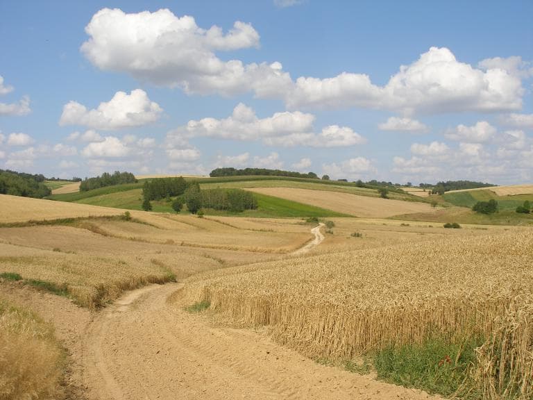 Trasa Kraśniczyn-Skierbieszów