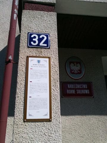 przez Wrzosowiska Kłomińskie