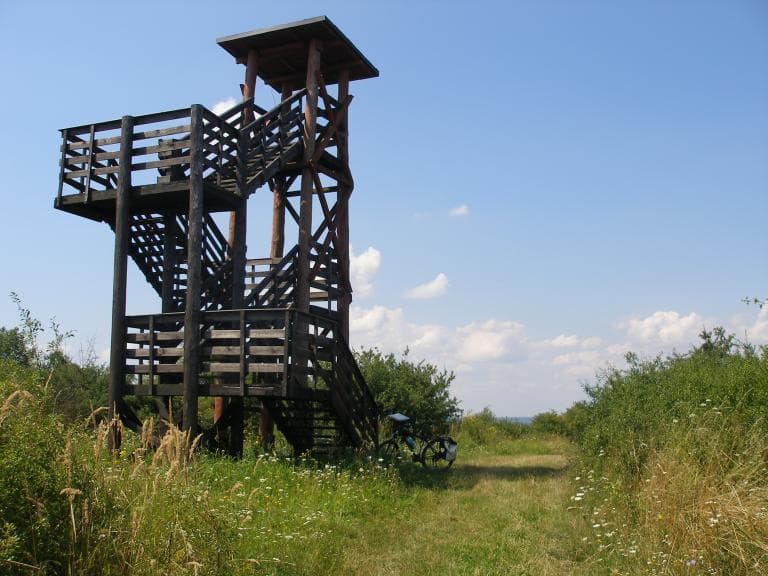 Czarna Perła