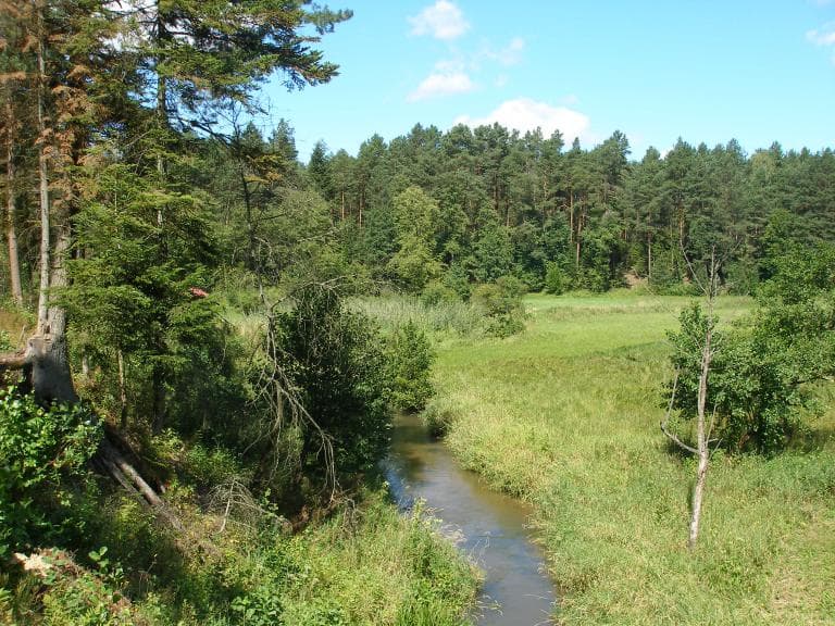 SZLAK (Czerwony) BIAŁA ŁADA