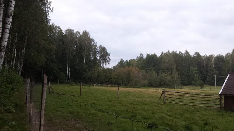 Ciechanów - Szulmierz