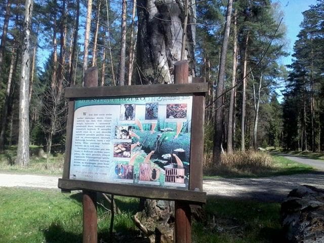 nad zaporę w Goczałkowicach