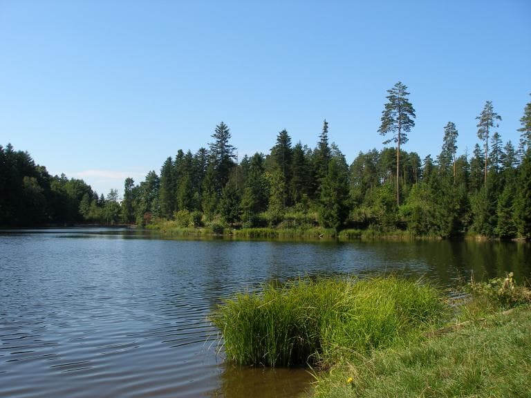 Roztocze