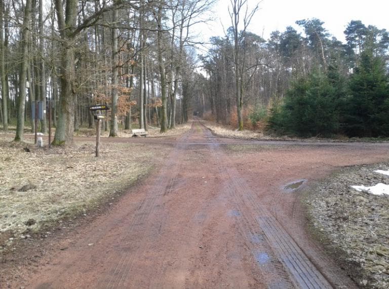 Wokół Zalewu Rybnickiego
