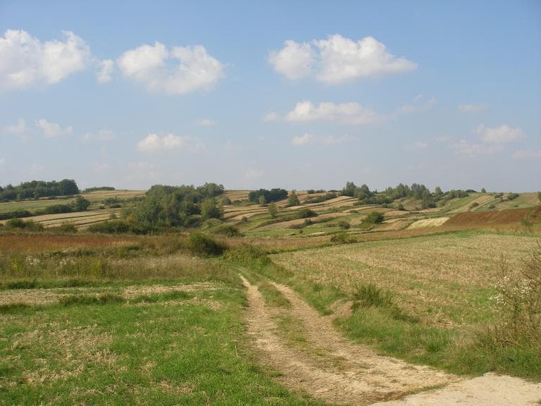 Szlak Jastrzębia Zdebrz