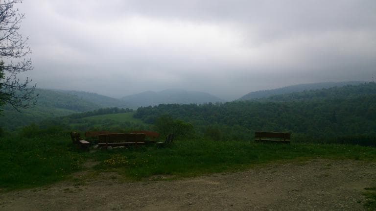 Zatwarnica - Krywe - Zatwarnica
