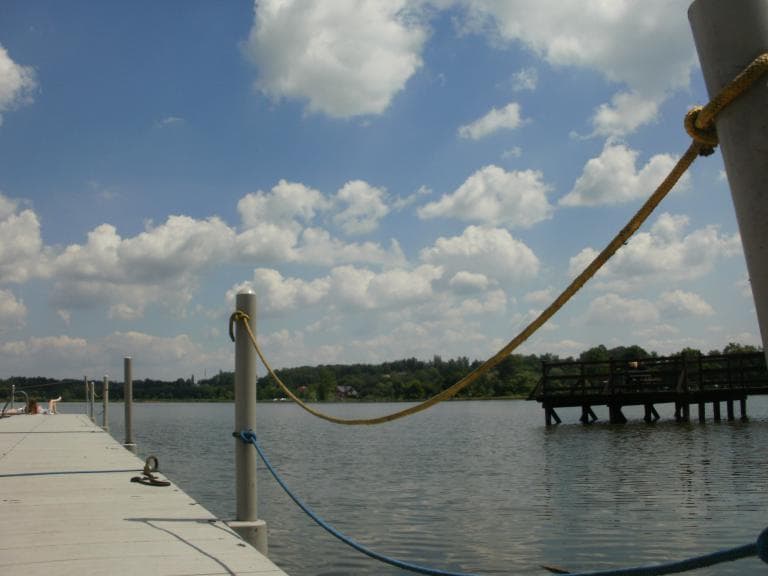 Zebrzydowice Jastrzebie