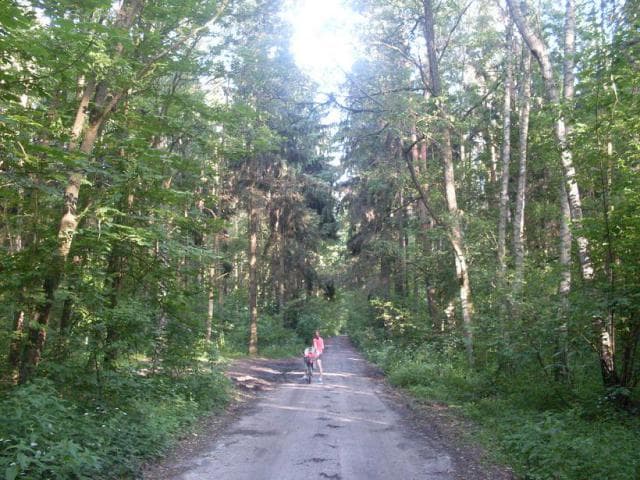 Żyrardów - Radziejowice - Mszczonów