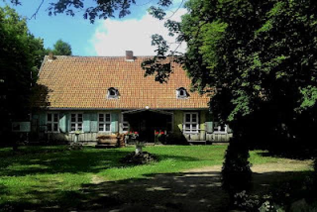 Strysza Buda - Lasy Mirachowskie