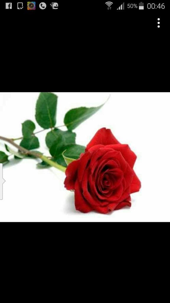 13.07.2017 18:27 Test