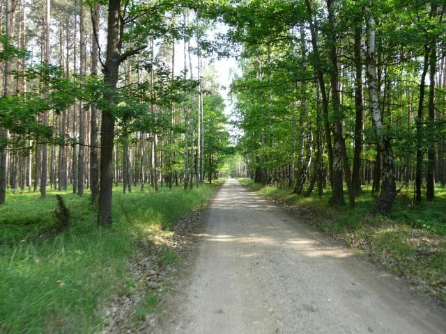 Działoszyn przez Osjaków