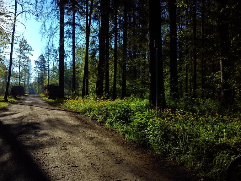 Hajnówka - Masiewo - Hajnówka