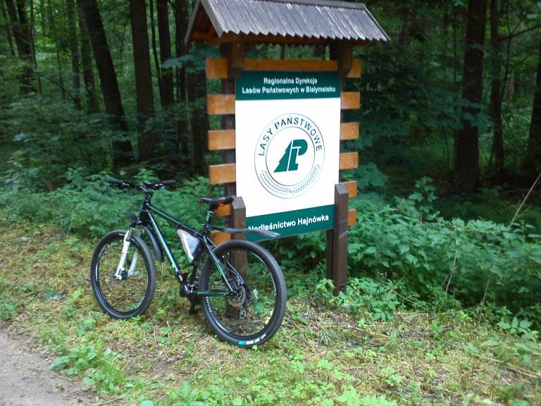 Hajnówka-Budy-Białowieża