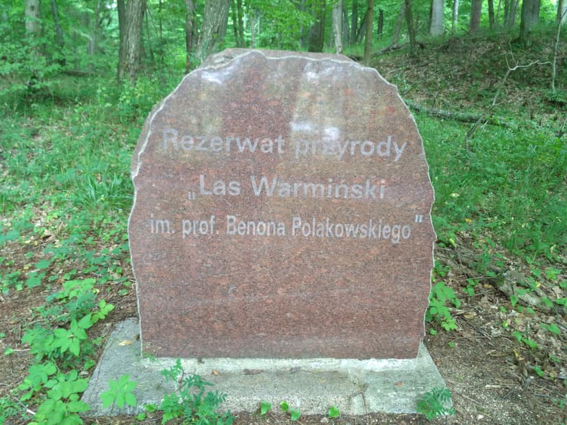 Z Plusek do Zerwanego Mostu