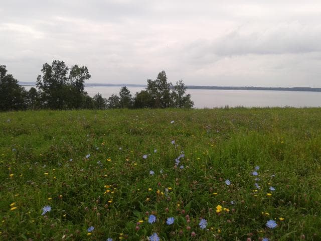 Giżycko - Sztynort - Wilkasy
