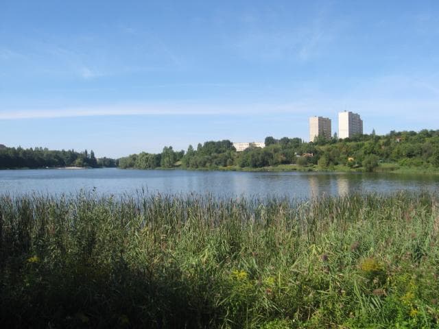 wokół Jeziora Winiary