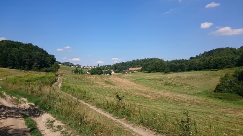 05.08.2017 14:01