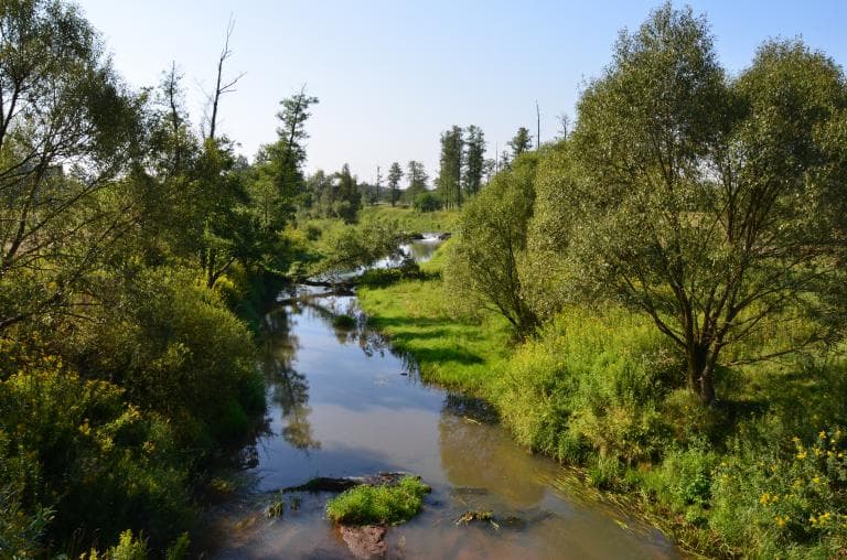 Pętla Wilcza Wola-Nowy Nart-Wilcza Wola