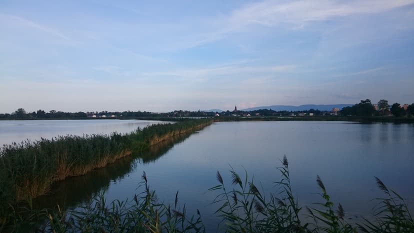 Goczalkowice - Kopalnia Silesia - Goczalkowice