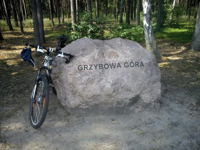 po Grzybowej Górze