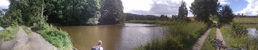Tleń - Grzybek