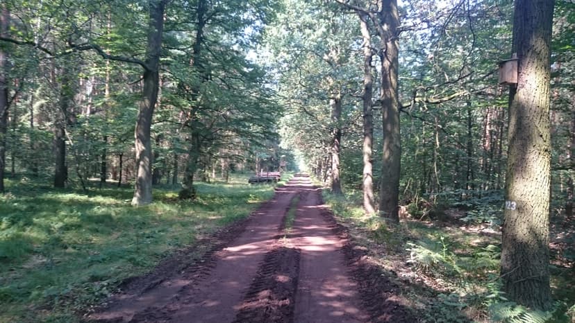 Rudy - Nędza - Rezerwat Łężczok - Racibórz - Zakole Odry I Przeprawa Promowa - Ciechowice - Tuże - Kuźnia Raciborska - Kompleks Leśny Rudy Z Kaplicą Św Magdaleny - Rudy