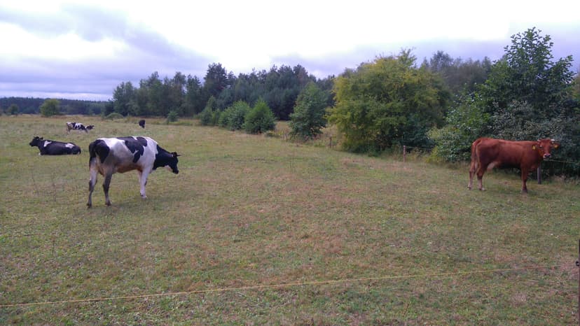 Tour De Przyłęk 2
