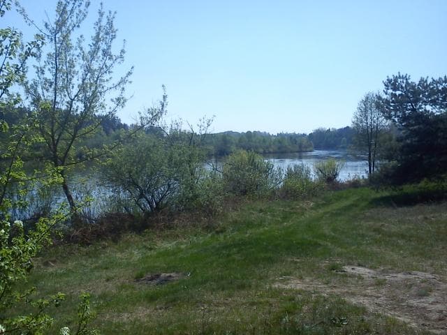 Przystanek nad Bugiem