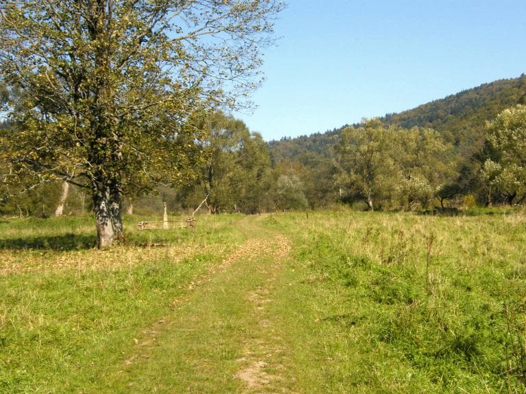 Beskid Niski 2