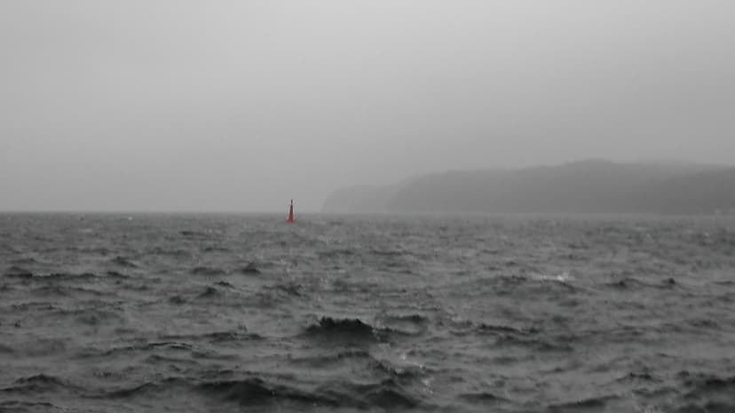 22.11.2017 07:20