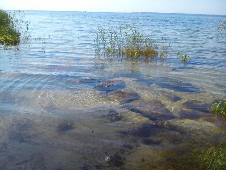 Jastrzębia Góra - Hel - Jastrzębia Góra