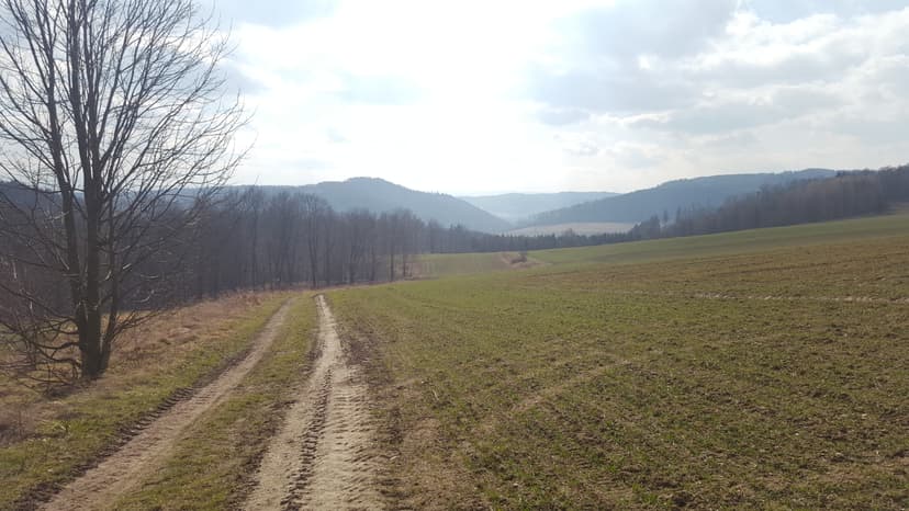 Rzeźnik