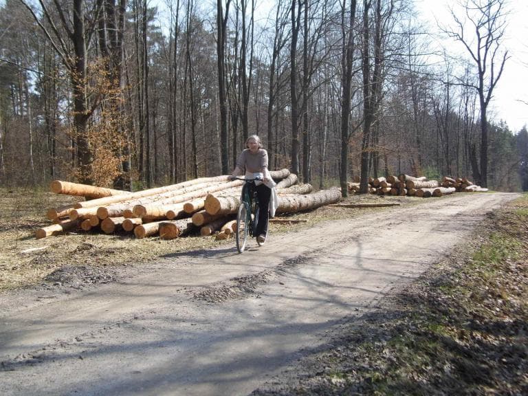 Okolice Głogowa Małopolskiego