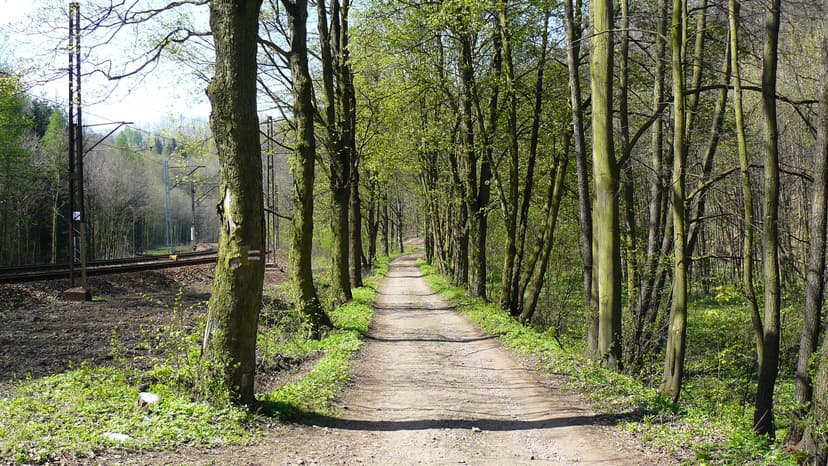 19.04.2018 Świdnica - Milikowice - Świebodzice - Dalej szlakiem żółtym rowerowym ( K - 1 ) aż do Świdnicy