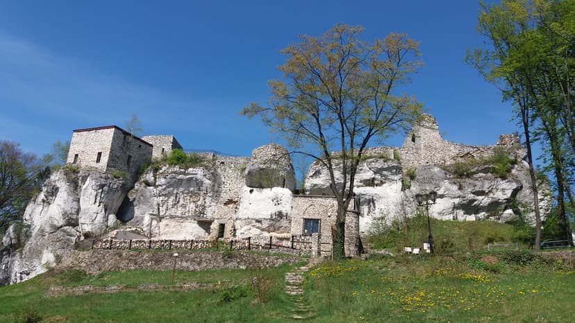 Bogdan56