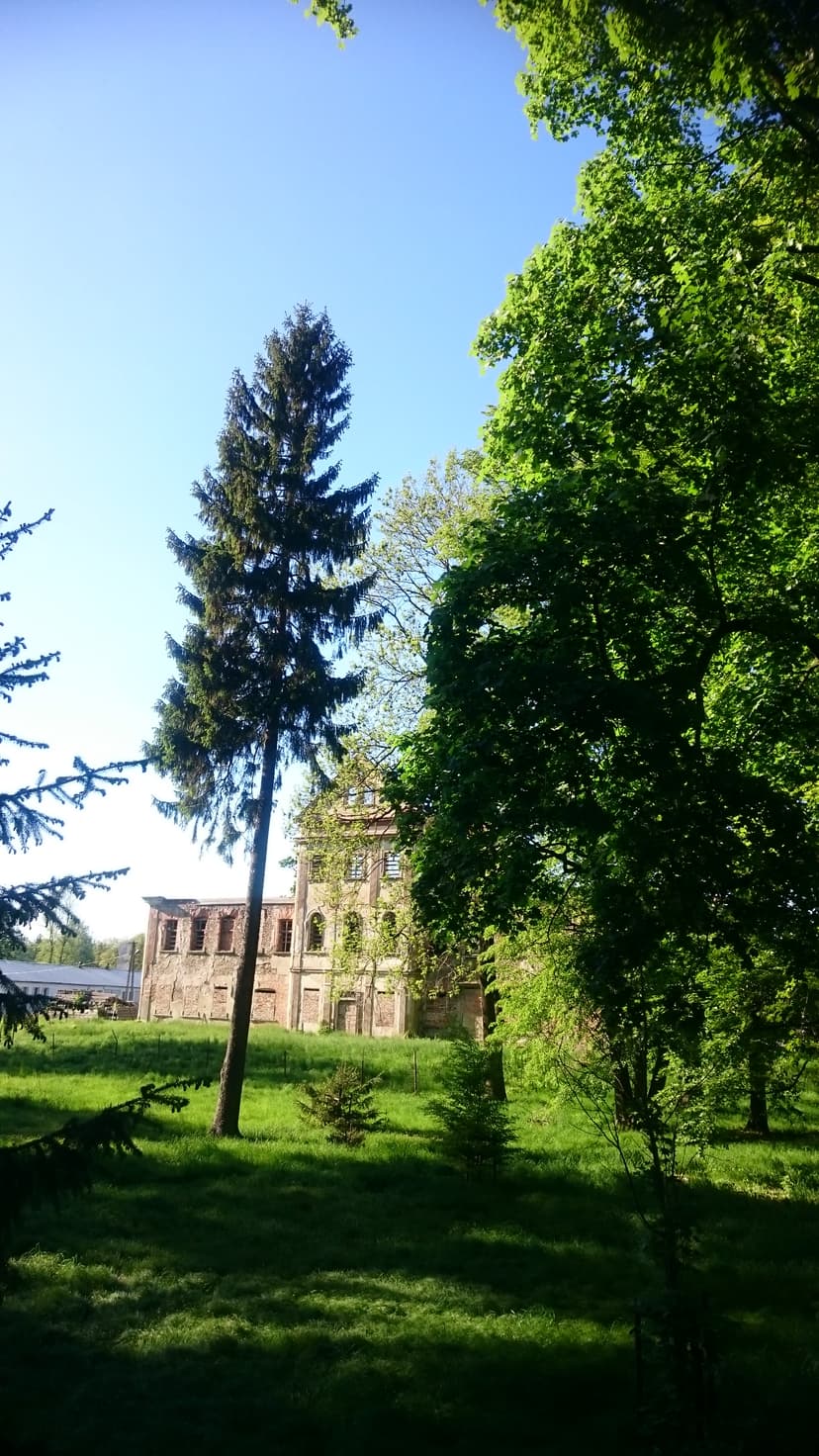 Bożkowice