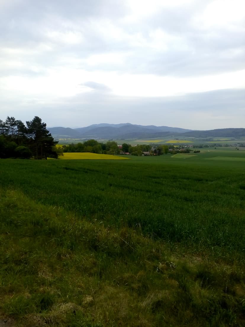 08.05.2018 16:36