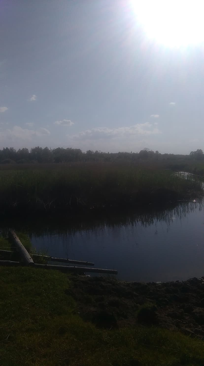 Przejazdzka