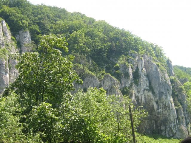 Szlakiem orlich gniazd
