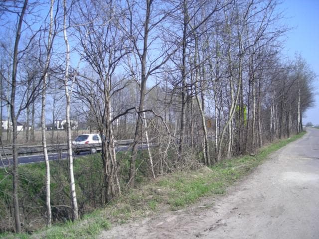 Oświęcim - Łaziska Górne