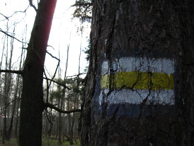 Do Bratkowic